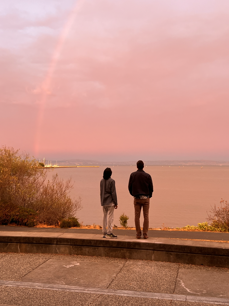 pink day at the bay